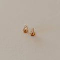 Pair of gold earrings on a light beige background
