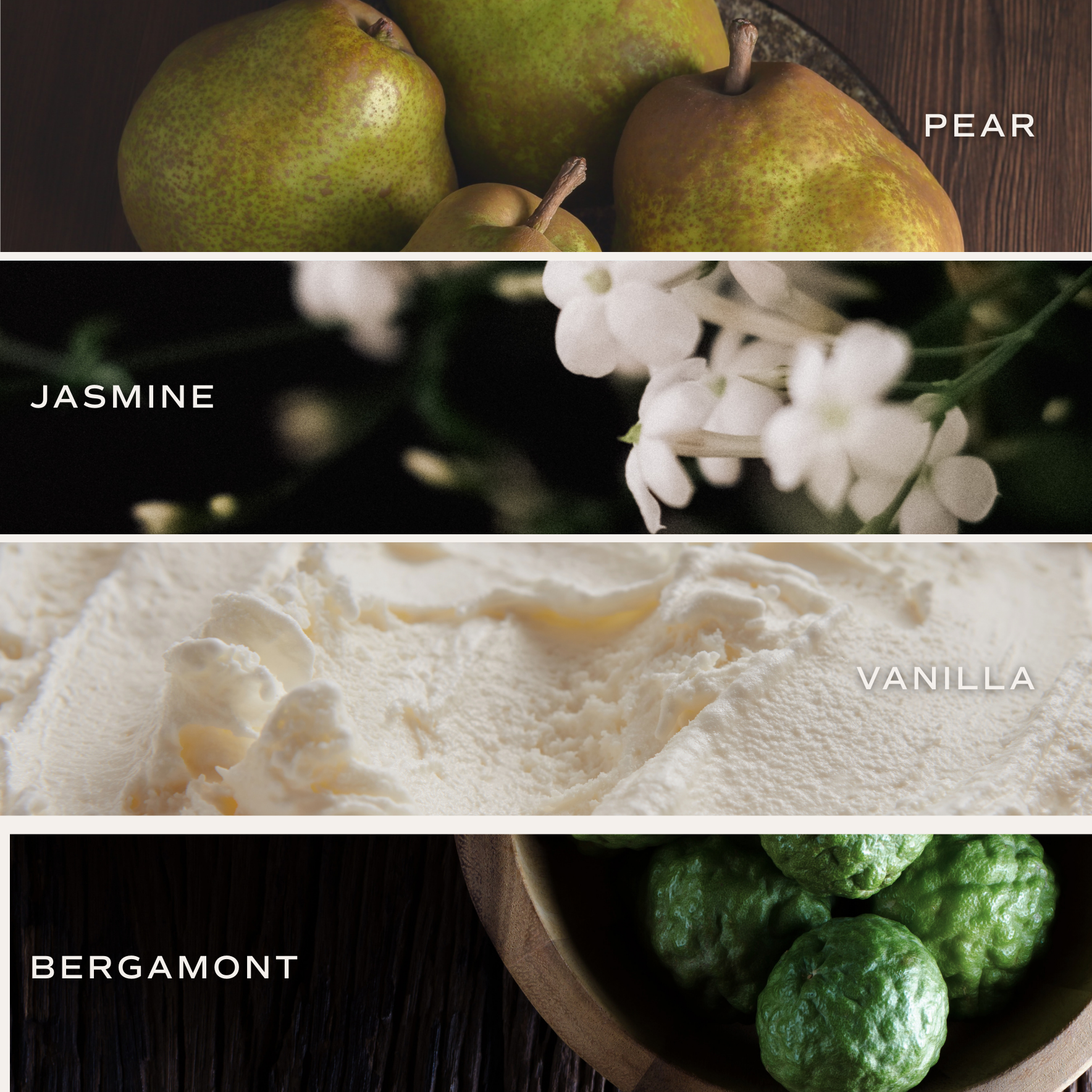 Cashmere & Vanilla Reed Diffuser – Home Fragrance & Gifts