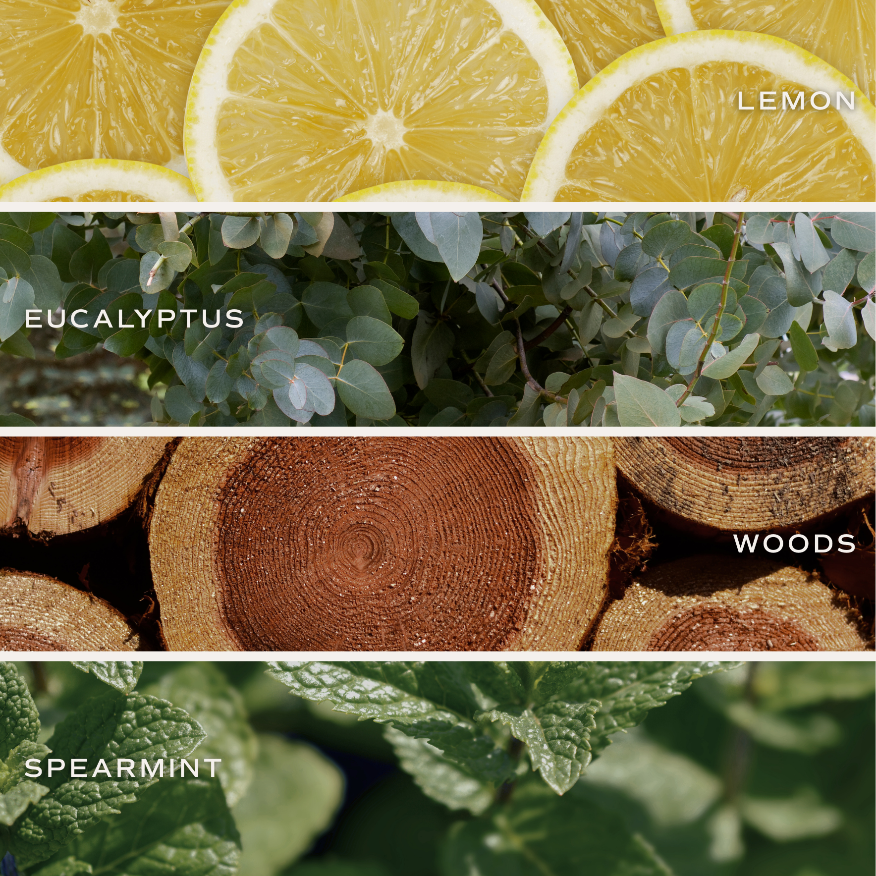 Stress Relief Soy Candle – Eucalyptus & Spearmint | 9 oz Clean Burning Candle