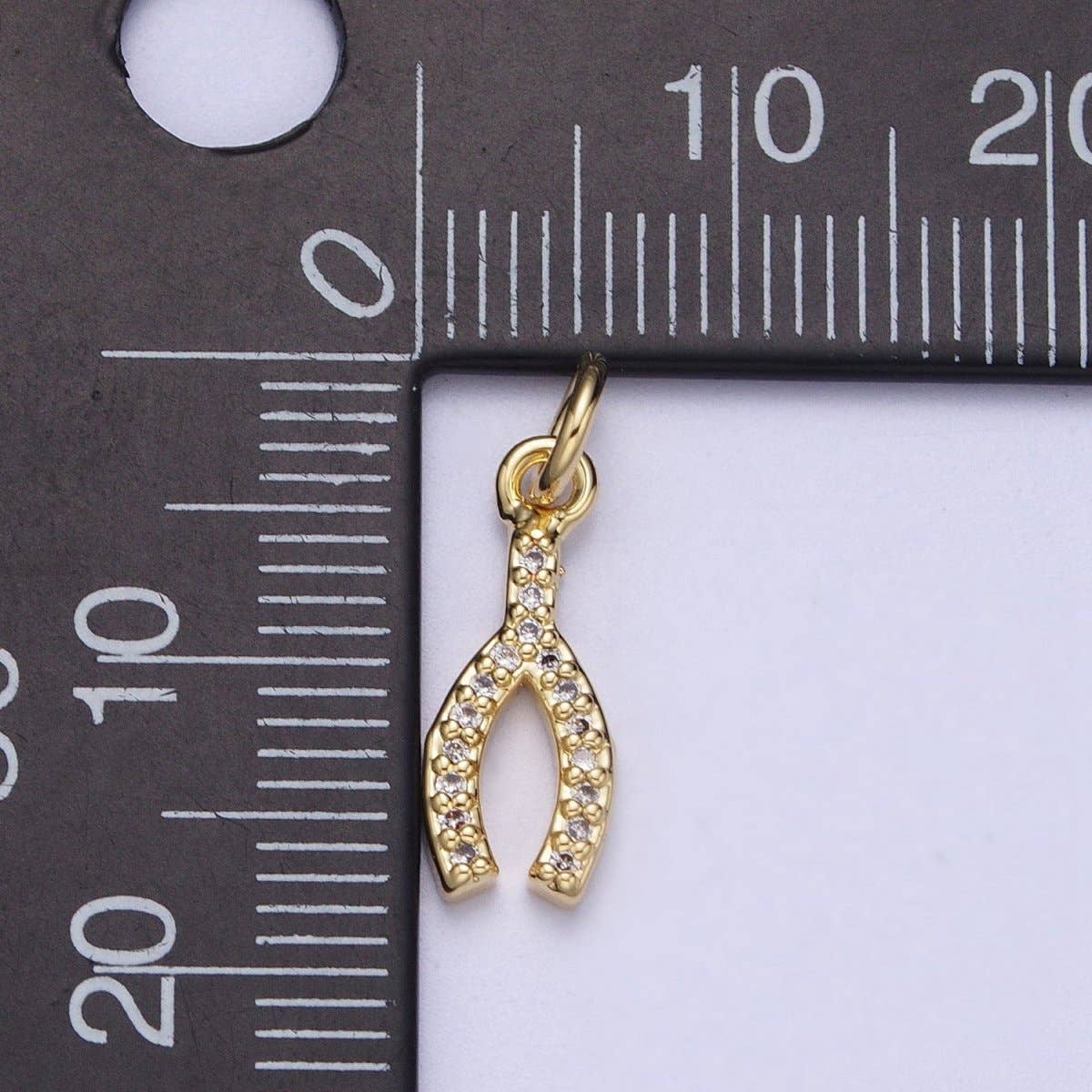 ✨ Lucky Wishbone Charm