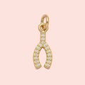 ✨ Lucky Wishbone Charm
