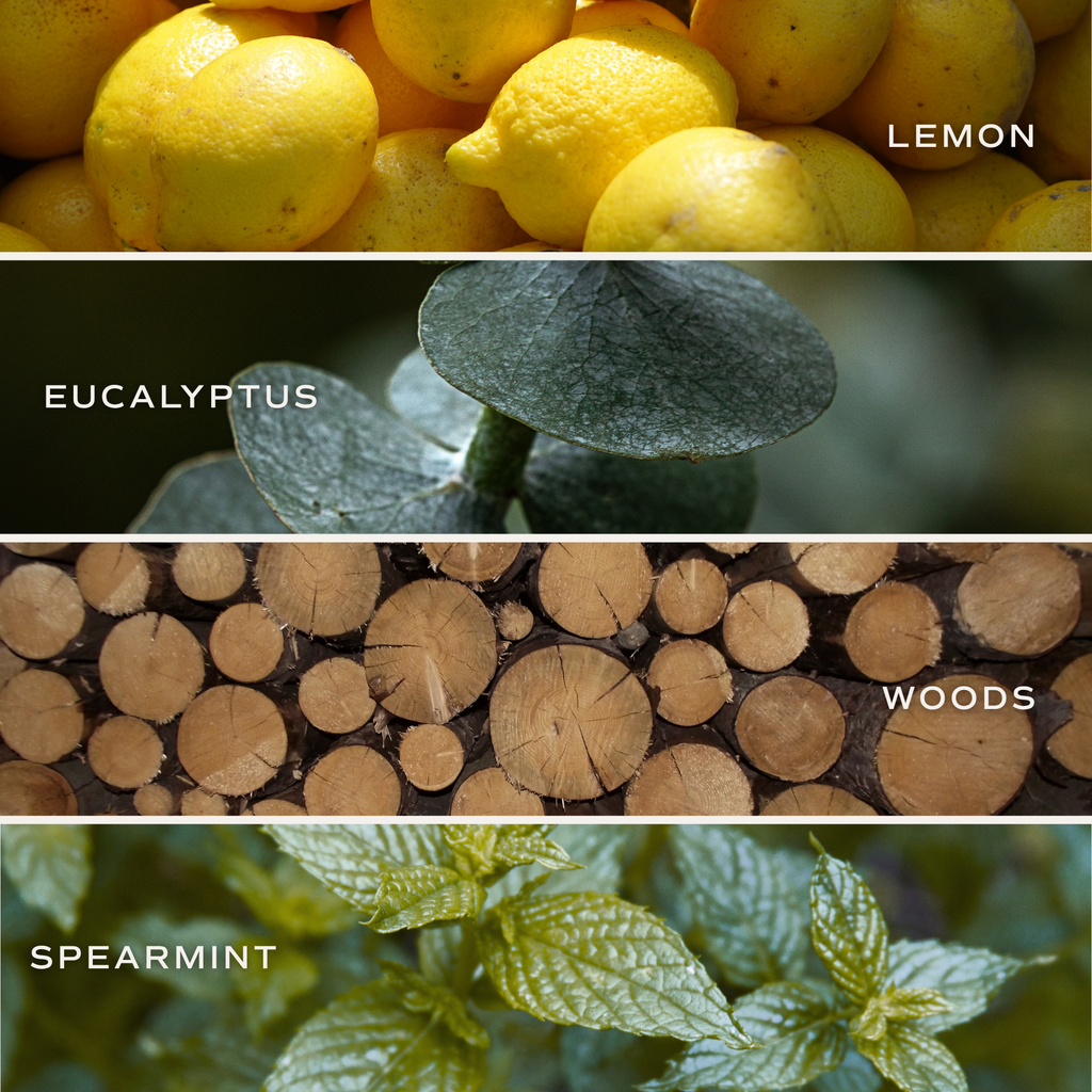 Stress Relief Bath Bomb – Lemon & Eucalyptus Self Care Gift