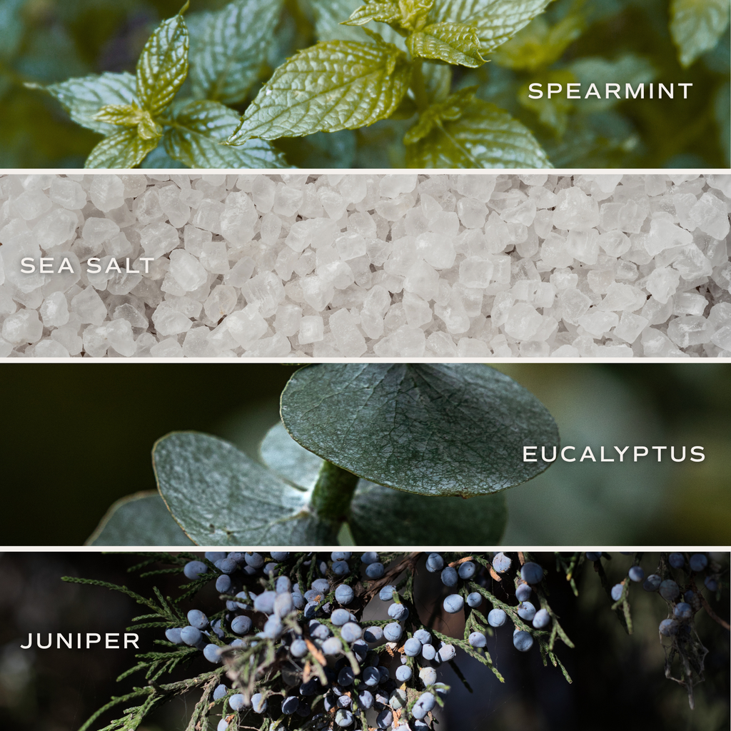 Collection of spearmint, sea salt, eucalyptus, and juniper images with labels.