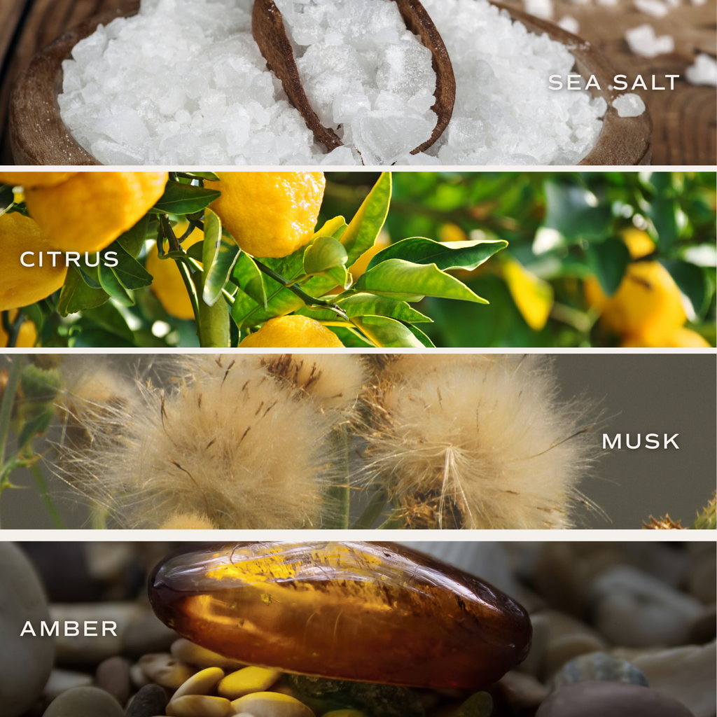 Salt & Sea Soy Candle – Fresh Coastal Home Fragrance