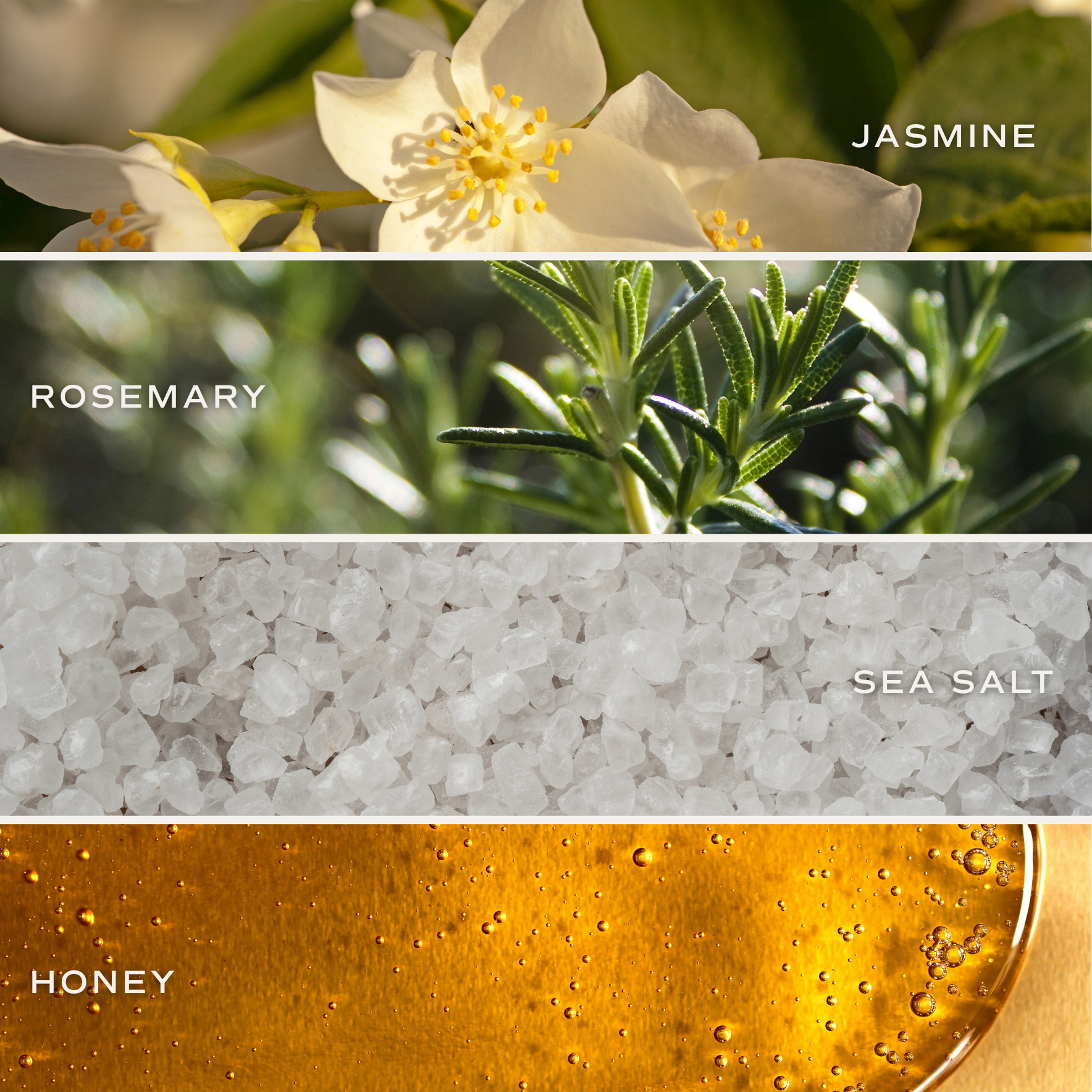 Collage of jasmine flowers, rosemary leaves, sea salt, and honey with labels.