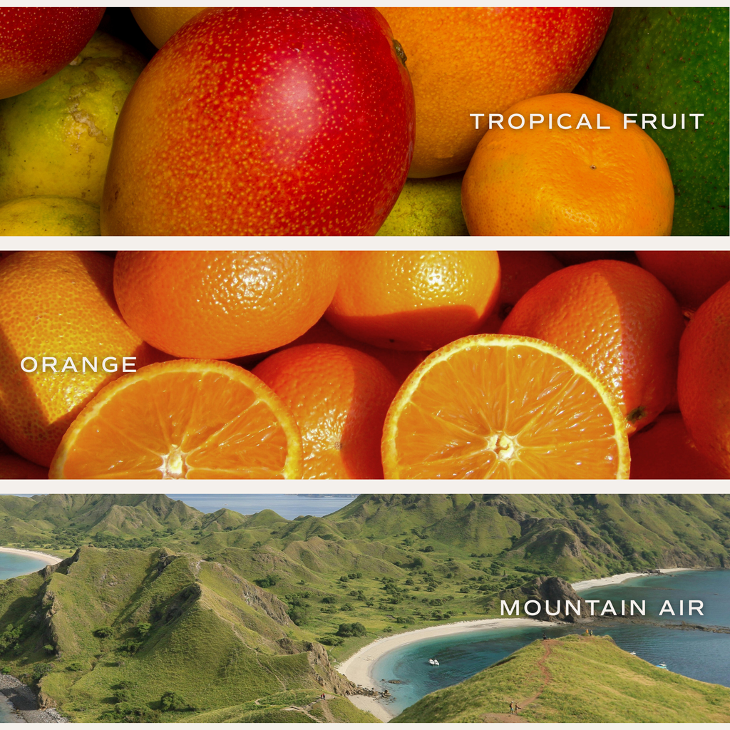 Collage of tropical fruits, oranges, and a mountain landscape.