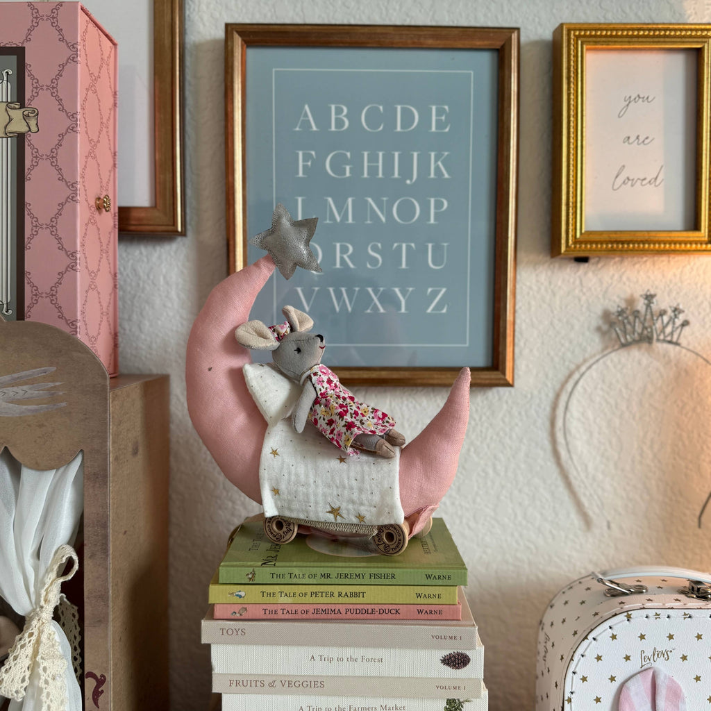 Decorative shelf with books, plush toys, and framed pictures in a home setting.